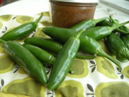 vegetarian meal plan - swapper edition | aneelee.wordpress.com vegetarian meal plan - swapper edition | aneelee.wordpress.com