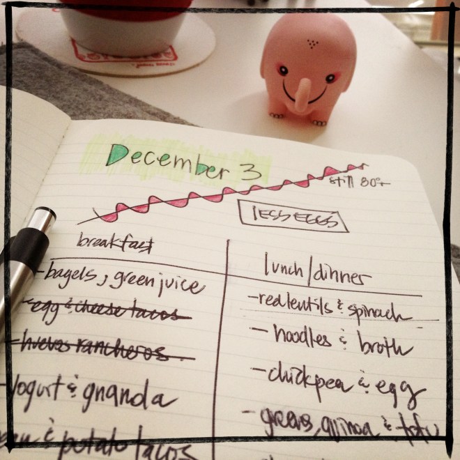 vegetarian meal plan | aneelee.wordpress.com