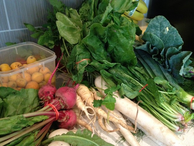 yesterday's market stash | aneelee.wordpress.com