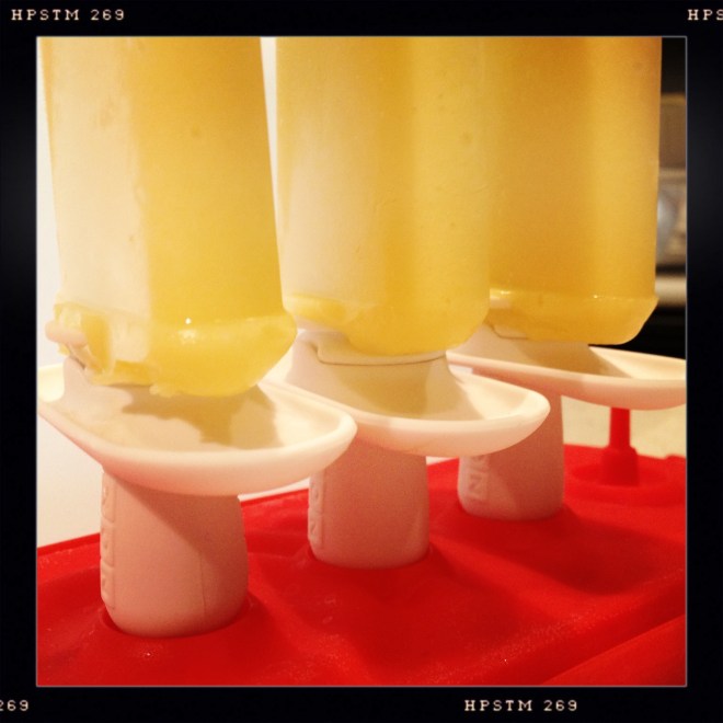 summer brain | aneelee.wordpress.com