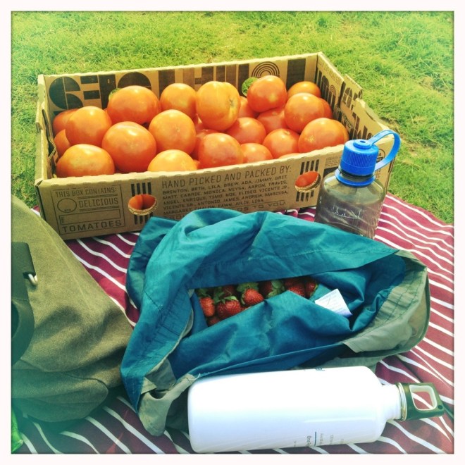 farmers' market memories | aneelee.wordpress.com