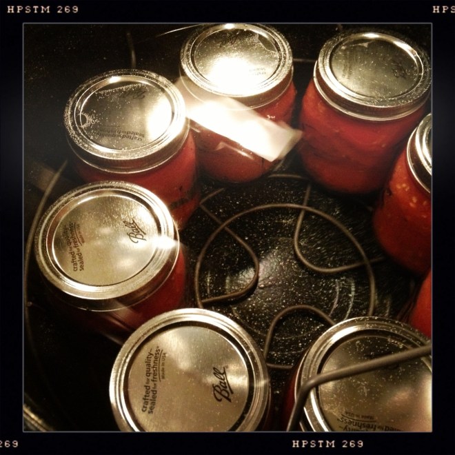 weekend links | aneelee.wordpress.com