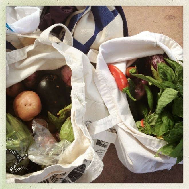 summer still life #8 | aneelee.wordpress.com