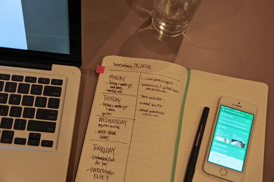 vegetarian meal plan - november 17, 2013| aneelee.wordpress.com