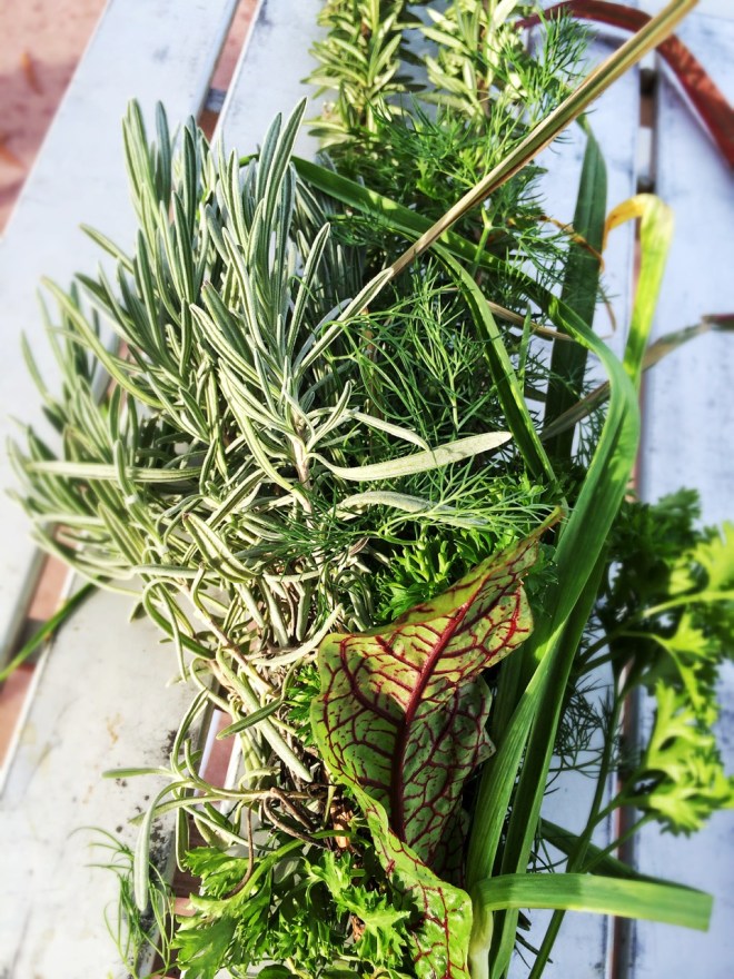 wednesday's market | aneelee.wordpress.com