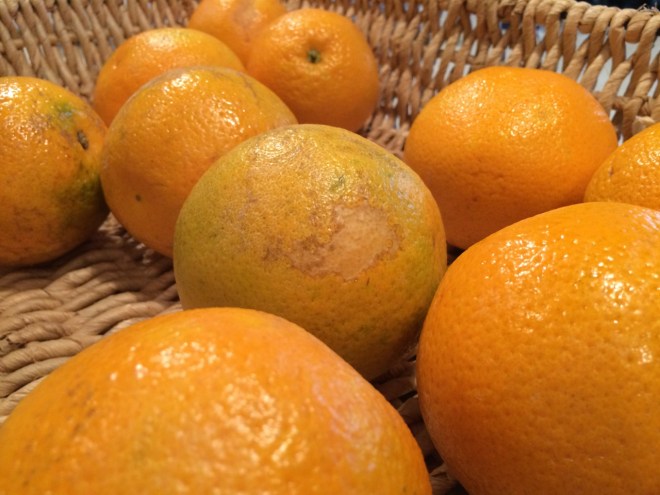 feeding sick souls | aneelee.wordpress.com