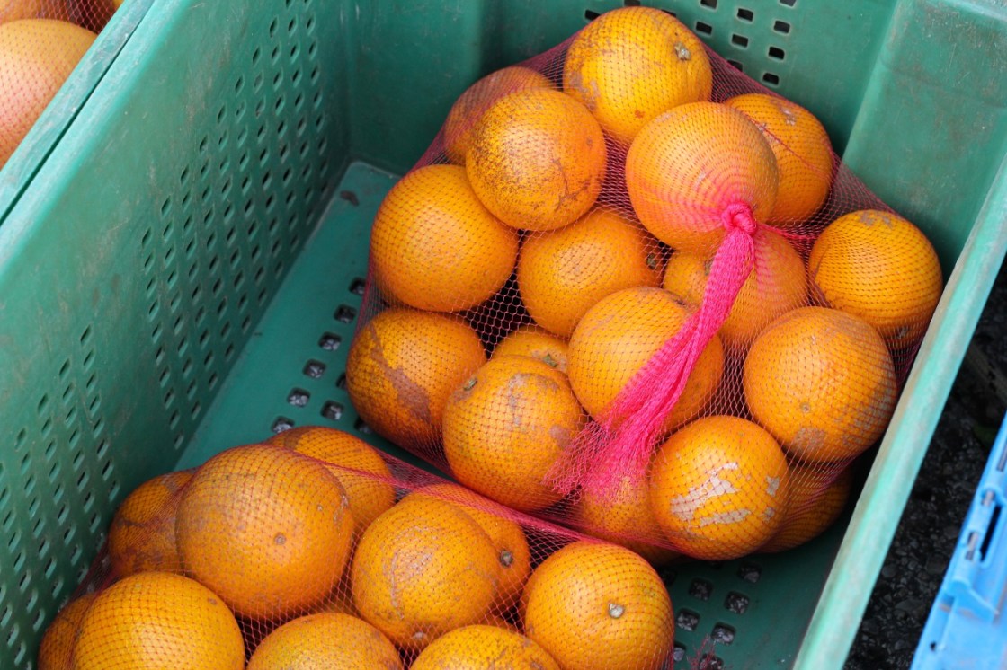 vegetarian meal plan - january 26, 2013 | aneelee.wordpress.com