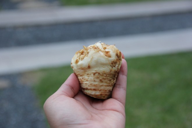celery root | aneelee.wordpress.com