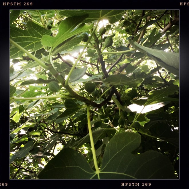 el castillo | aneelee.wordpress.com