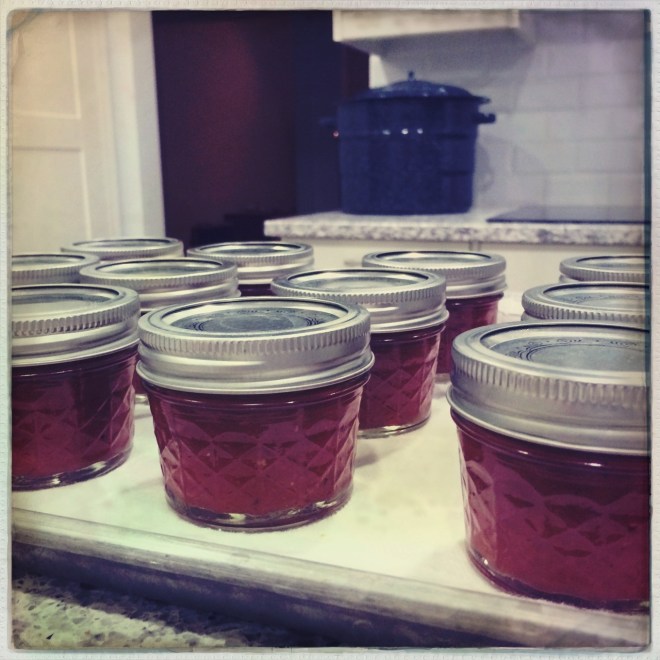 tomatolandia 2014 | aneelee.wordpress.com