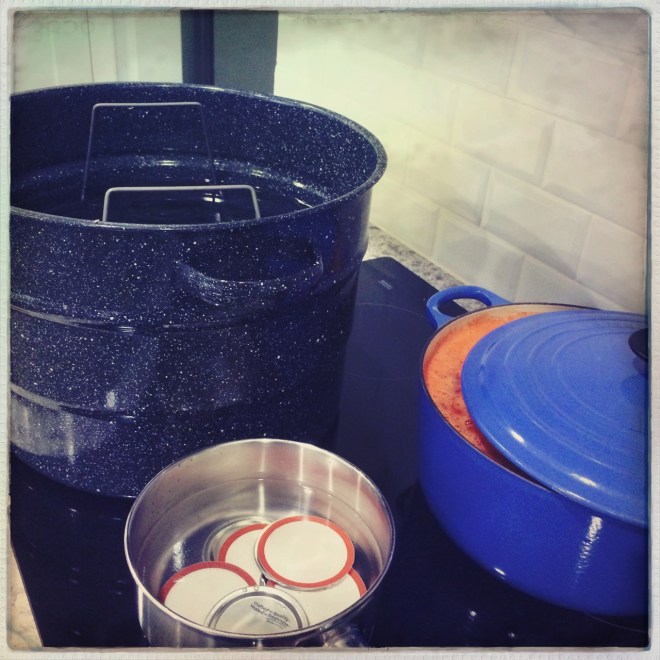 processing tomatoes | aneelee.wordpress.com