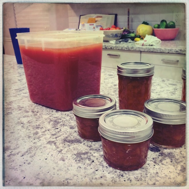 vegetarian meal plan - july 14 | aneelee.wordpress.com