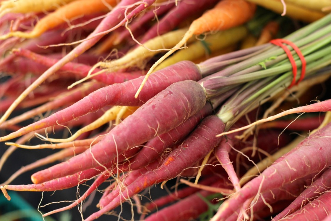 veggie meal plan - october 17, 2014 | aneelee.com