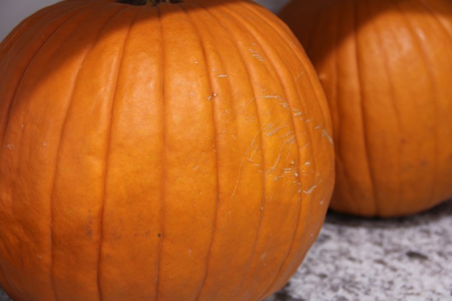 veggie meal plan - 10/28/14 | aneelee.com