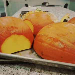 veggie meal plan - 10/5/14 | aneelee.com