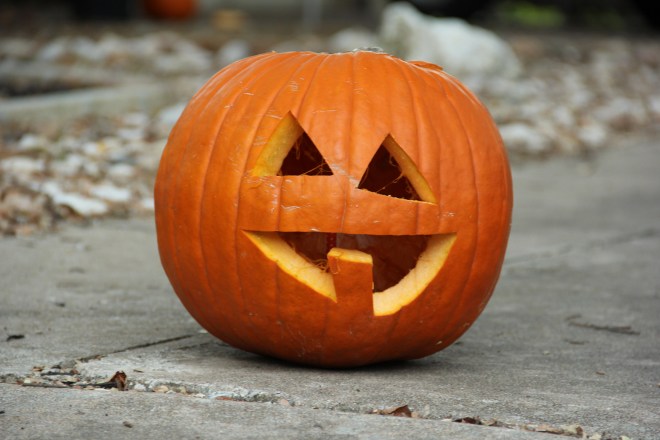 veggie meal plan - november 3 | aneelee.com