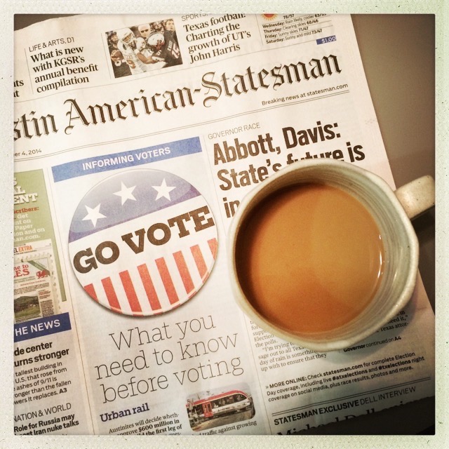 go vote | aneelee.com