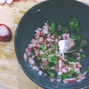 salpicon | aneelee.com