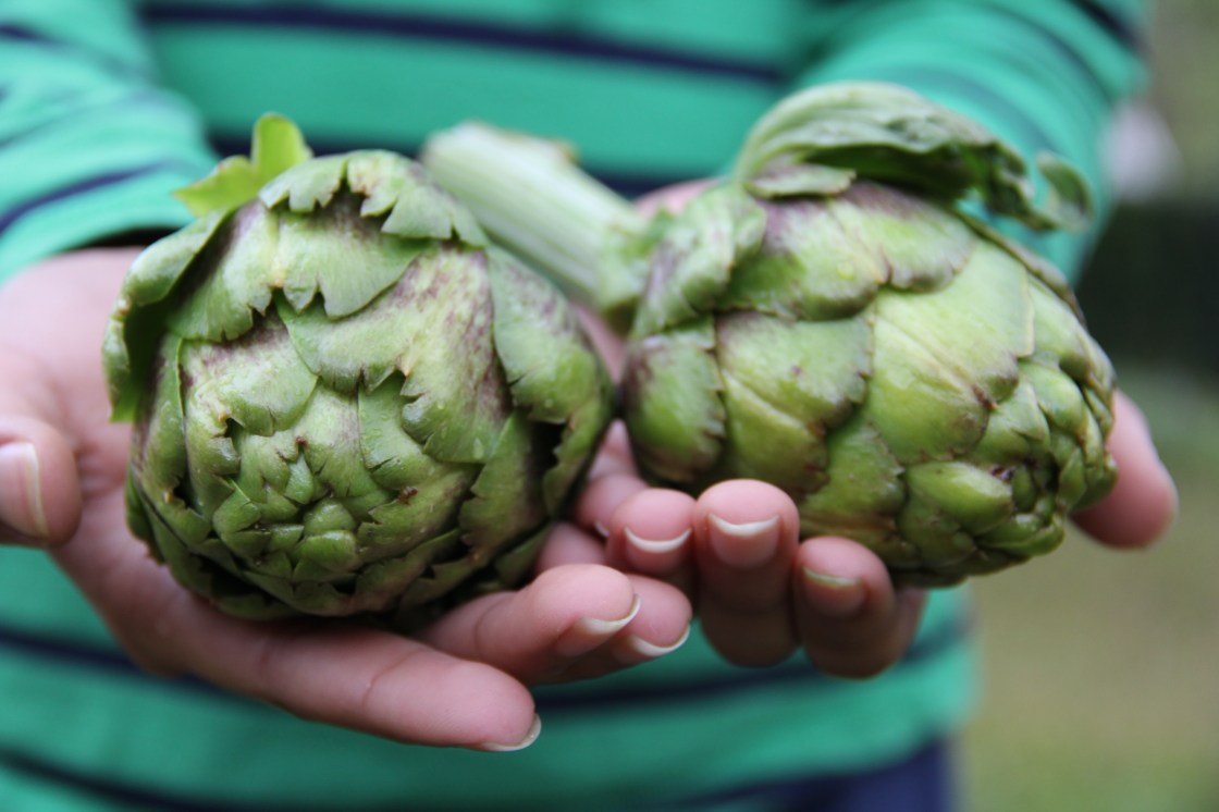 © Nelly Paulina Ramirez