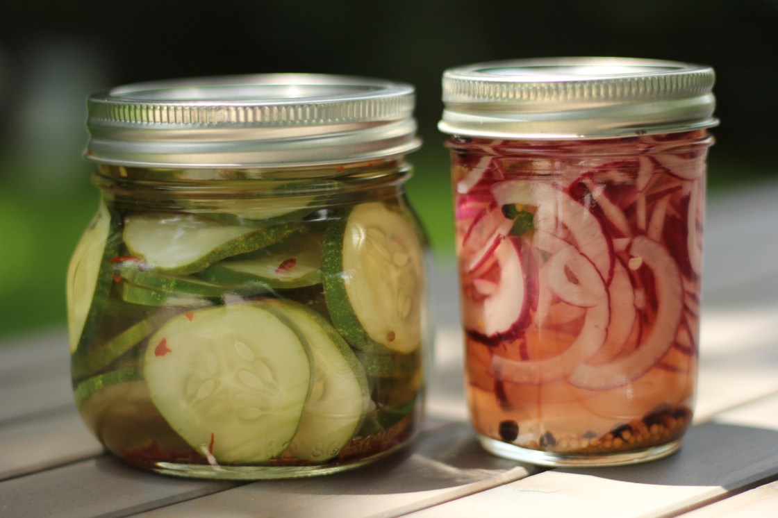 refrigerator pickles | aneelee.com