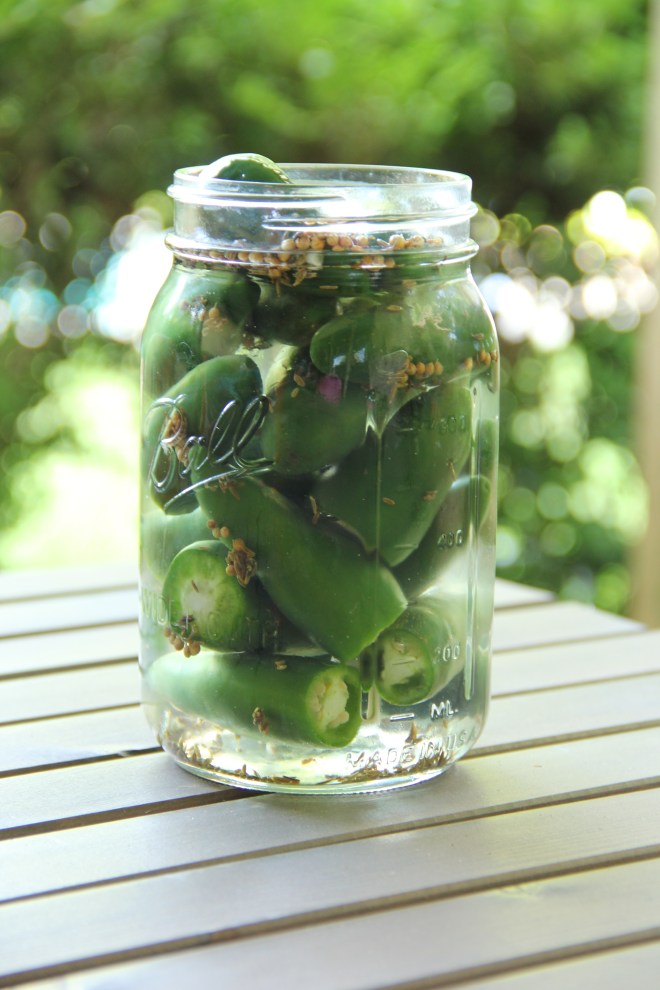 jalapeño ferment start | aneelee.com
