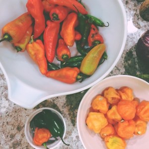 veggie meal plan - july 20 | aneelee.com