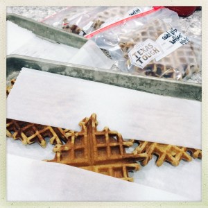 waffle freezing | aneelee.com