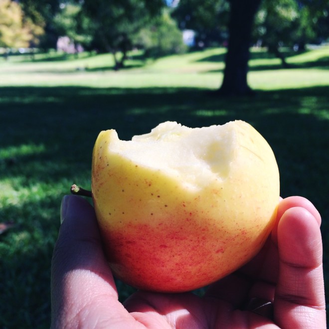 HipstamaticPhoto-466792035.784590