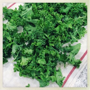 OriginalPhoto-466203144.645121